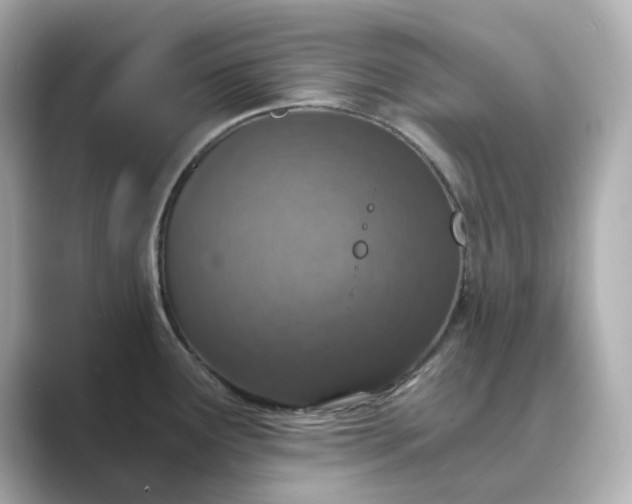 X0000088841291200706211826