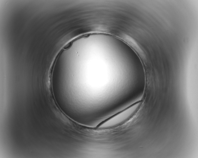 X0000088841292200706211826