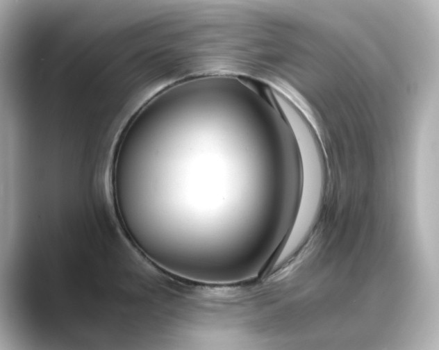 X0000088841293200706211826