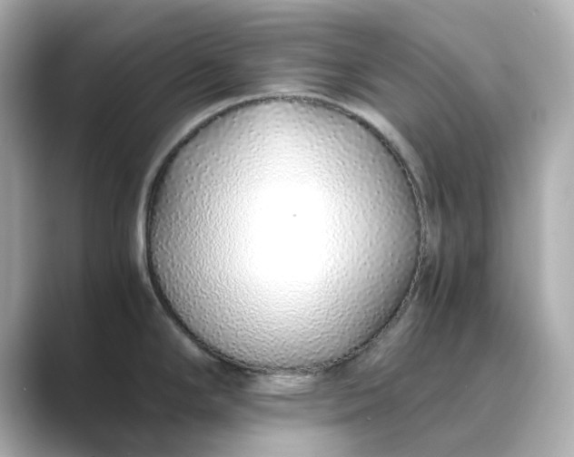 X0000088841294200706211826