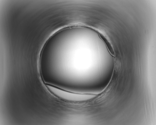 X0000088841295200706211826