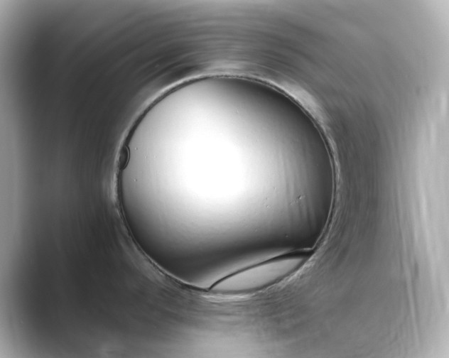 X0000088841296200706211826