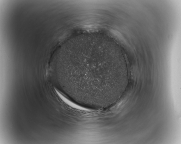 X0000088841298200706211826