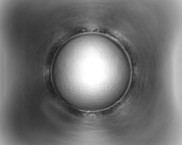 X0000088841302200706211826