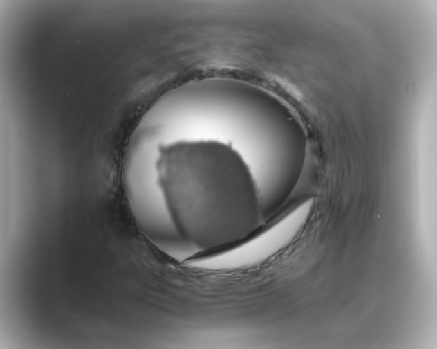 X0000088841303200706211826