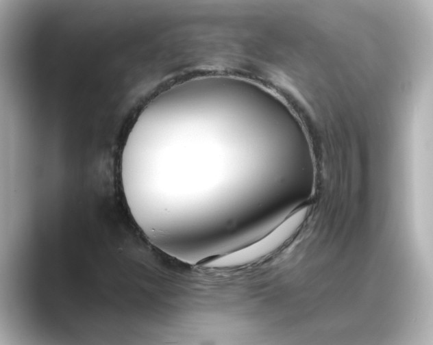 X0000088841304200706211826