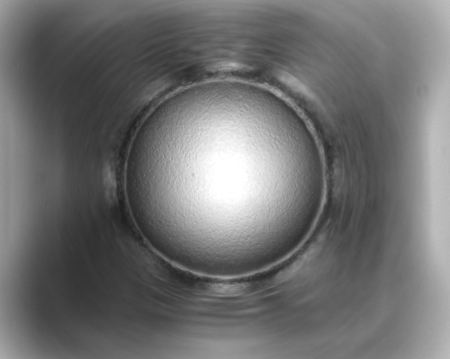 X0000088841305200706211826