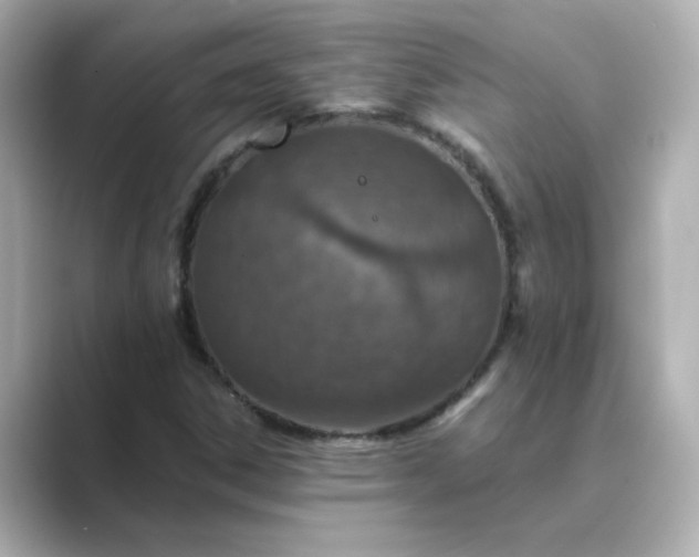 X0000088841306200706211826