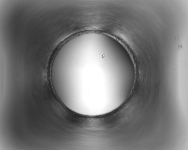 X0000088841308200706211826