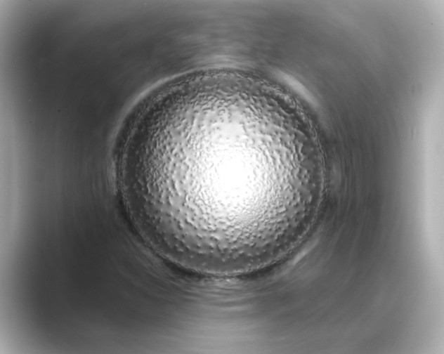 X0000088841310200706211826