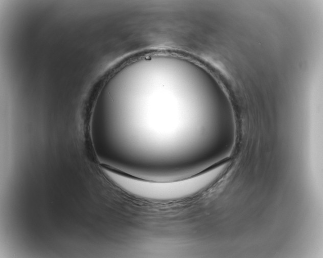 X0000088841311200706211826