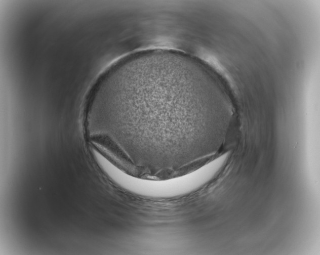 X0000088841312200706211826