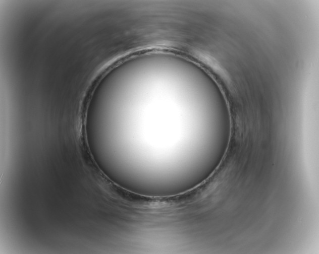 X0000088841316200706211826