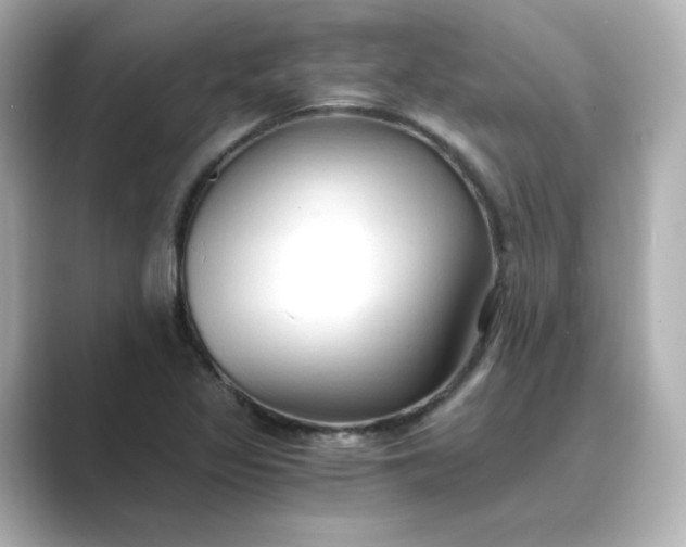 X0000088841317200706211826