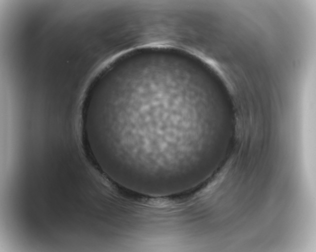 X0000088841319200706211826