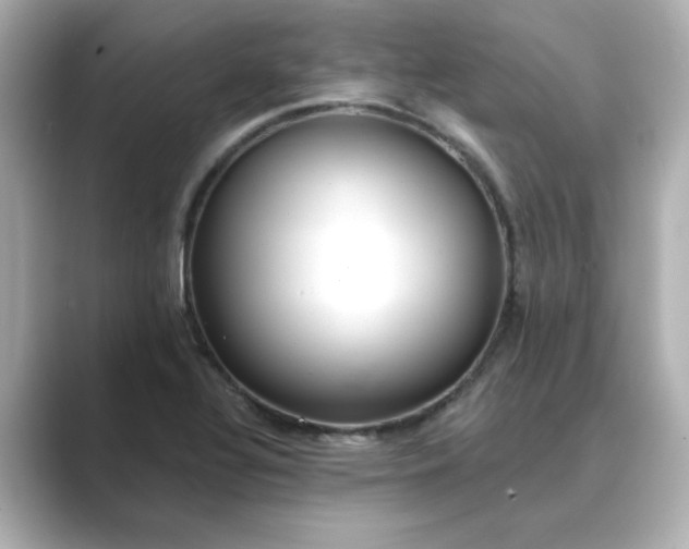 X0000088841320200706211826