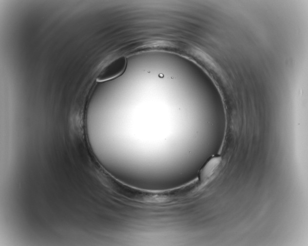 X0000088841321200706211826