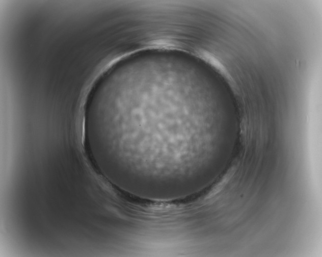 X0000088841323200706211826