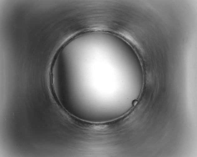 X0000088841325200706211826