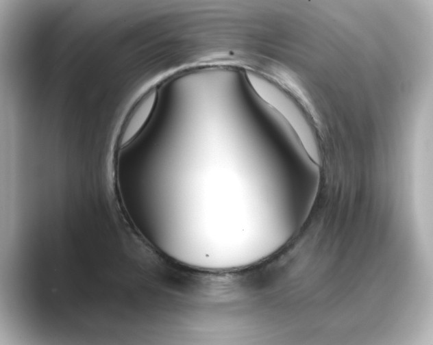 X0000088841328200706211826