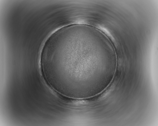 X0000088841331200706211826