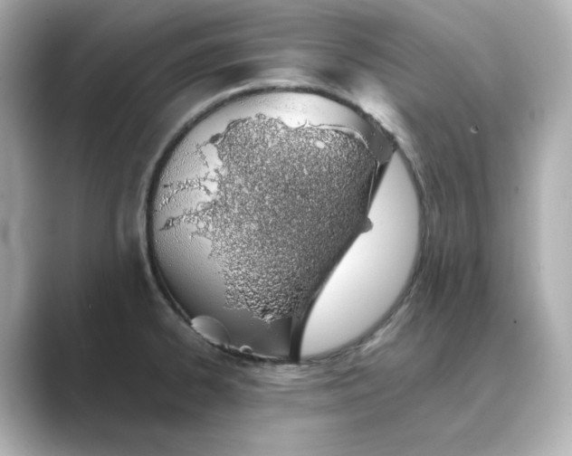 X0000088841334200706211826