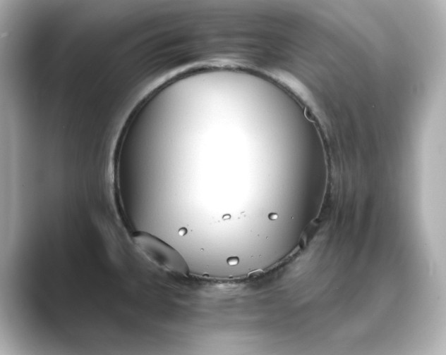 X0000088841335200706211826