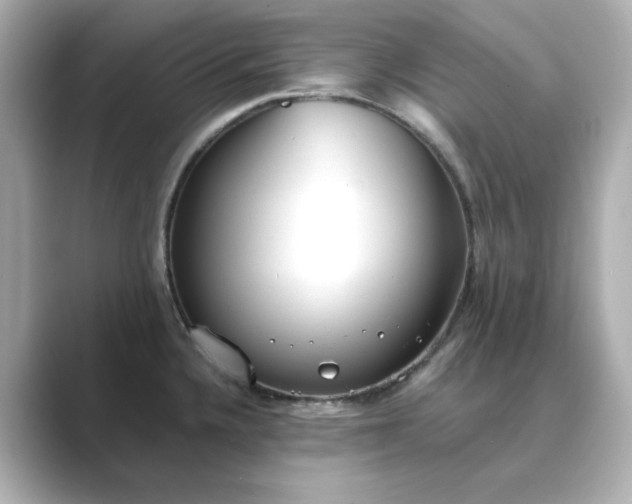 X0000088841336200706211826