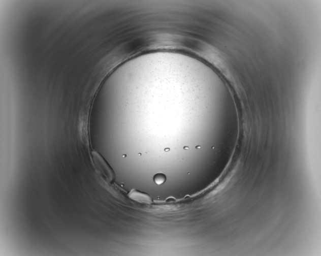 X0000088841337200706211826