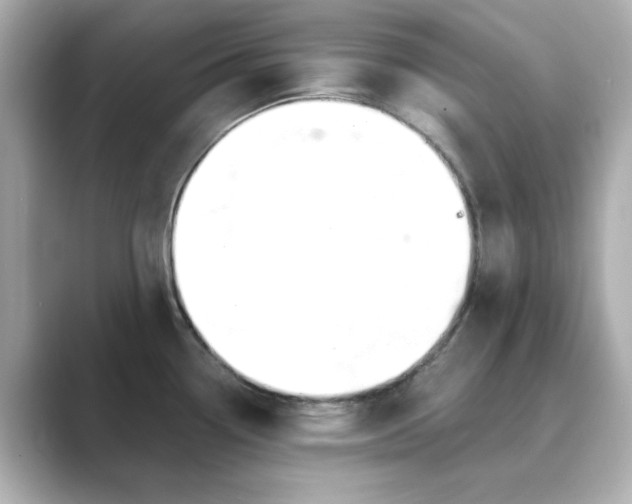 X0000088841338200706211826