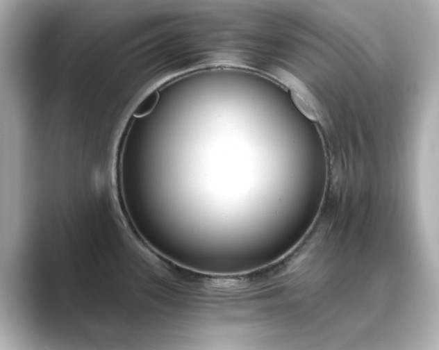 X0000088841339200706211826