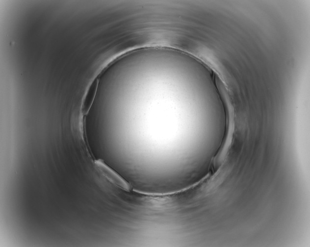 X0000088841340200706211826