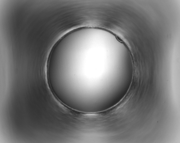 X0000088841343200706211826