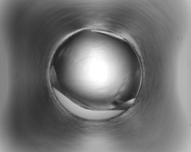 X0000088841344200706211826