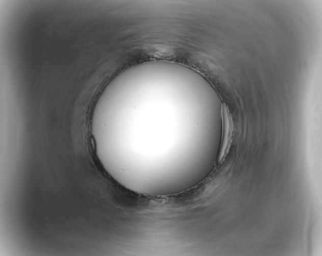 X0000088841345200706211826