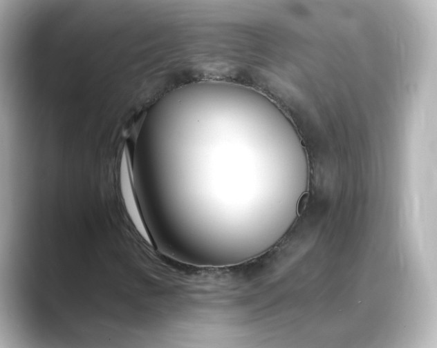 X0000088841346200706211826