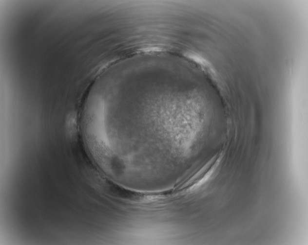 X0000088841353200706211825