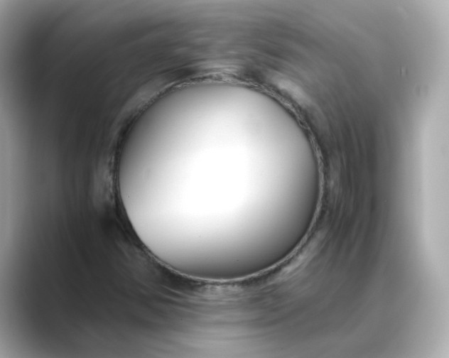 X0000088841354200706211825