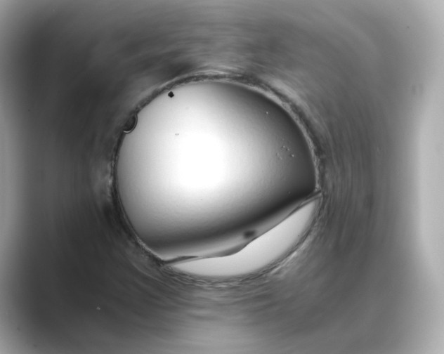 X0000088841355200706211825