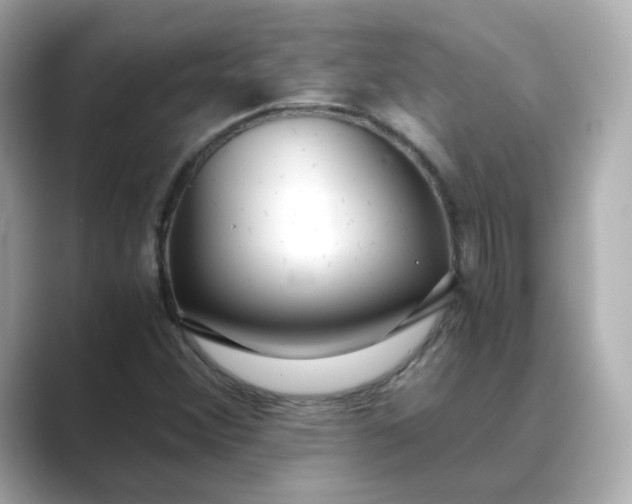 X0000088841356200706211825