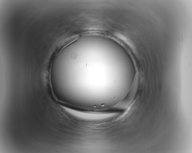 X0000088841357200706211825