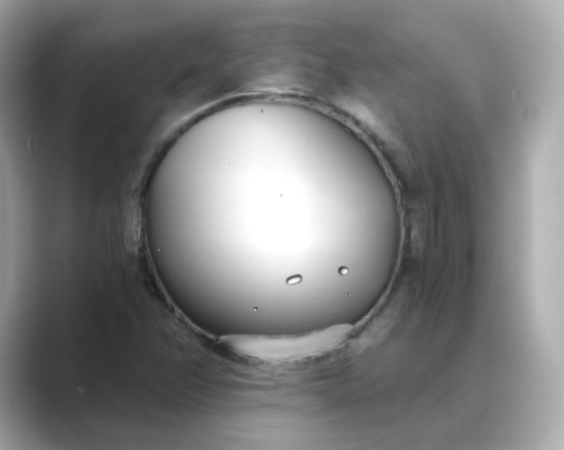 X0000088841358200706211825