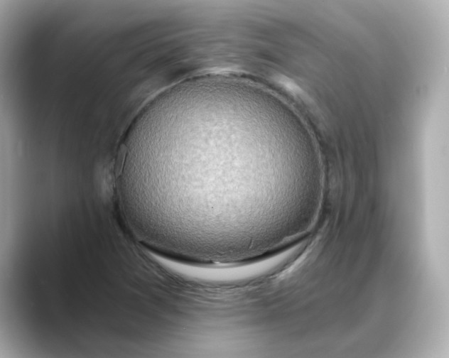 X0000088841361200706211825