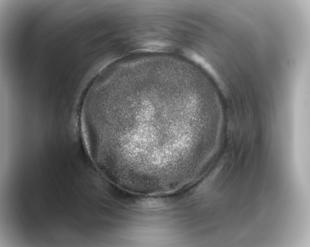 X0000088841362200706211825