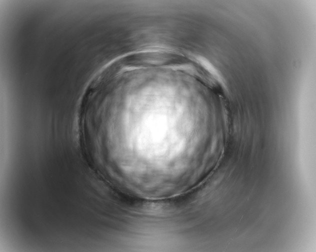 X0000088841364200706211825