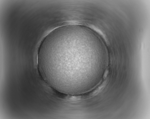 X0000088841365200706211825