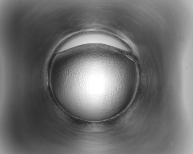 X0000088841368200706211825