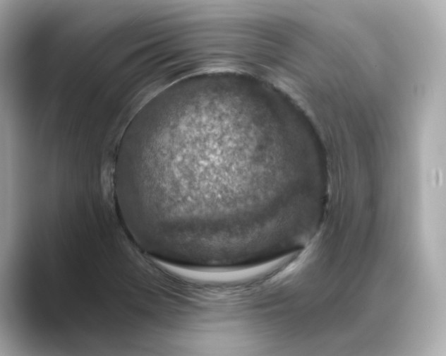 X0000088841369200706211825