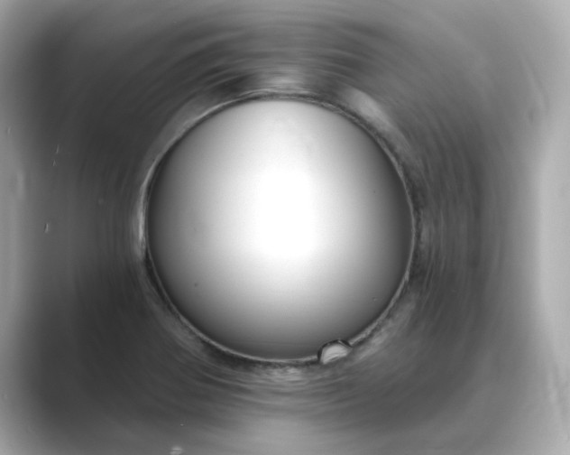 X0000088841370200706211825