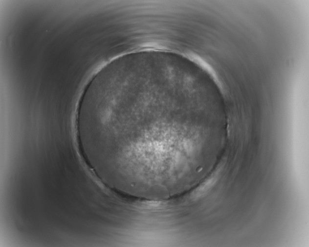 X0000088841373200706211825